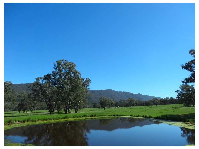 Bridge Creek VIC 3723