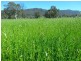 Bridge Creek VIC 3723