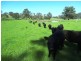Bridge Creek VIC 3723