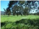 Bridge Creek VIC 3723