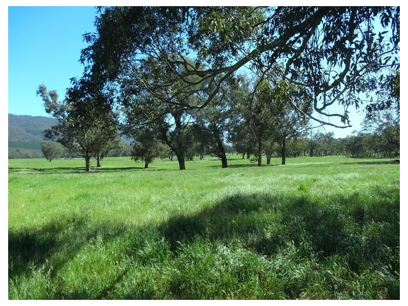 Bridge Creek VIC 3723