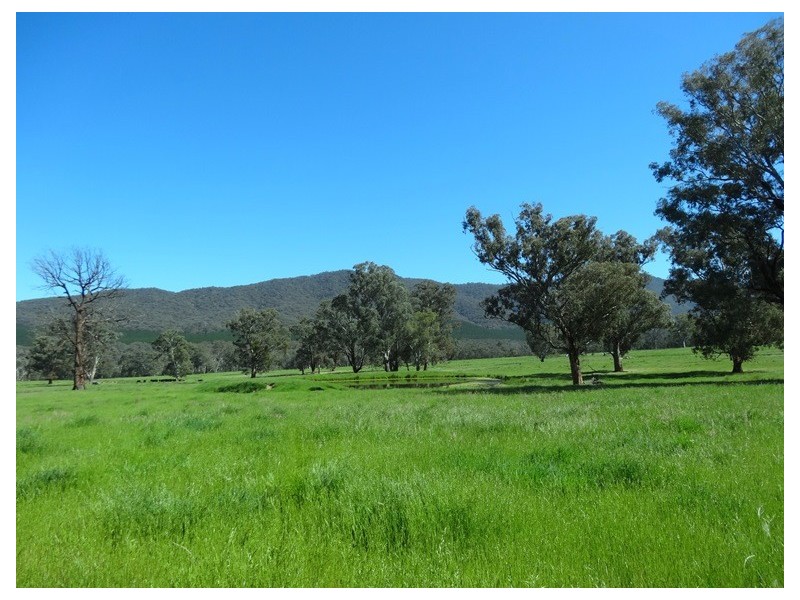 Bridge Creek VIC 3723