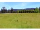 Narbethong VIC 3778
