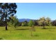Narbethong VIC 3778