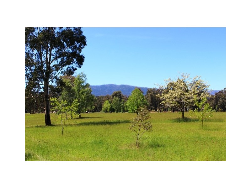 Narbethong VIC 3778