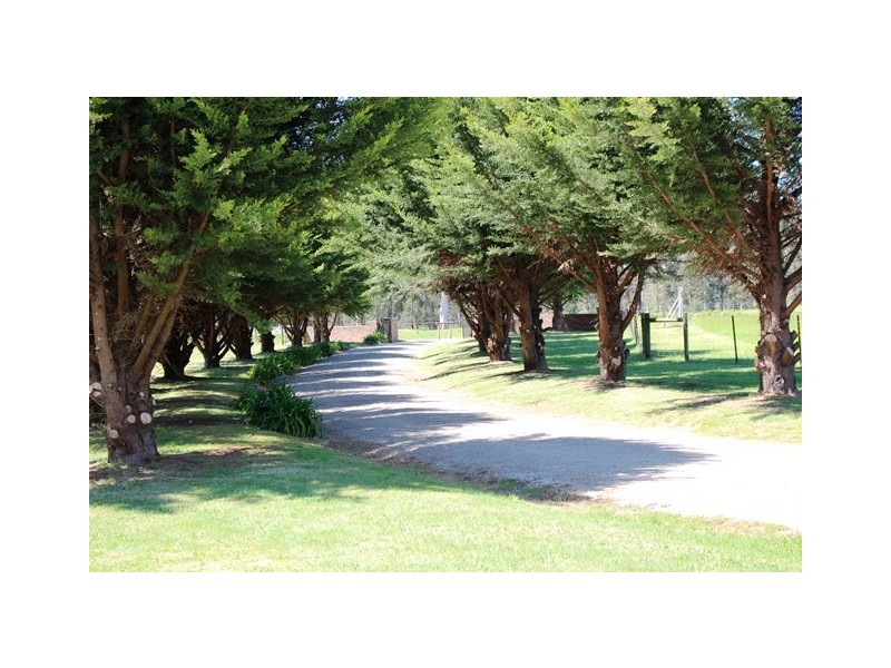 Narbethong VIC 3778