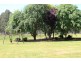 Narbethong VIC 3778