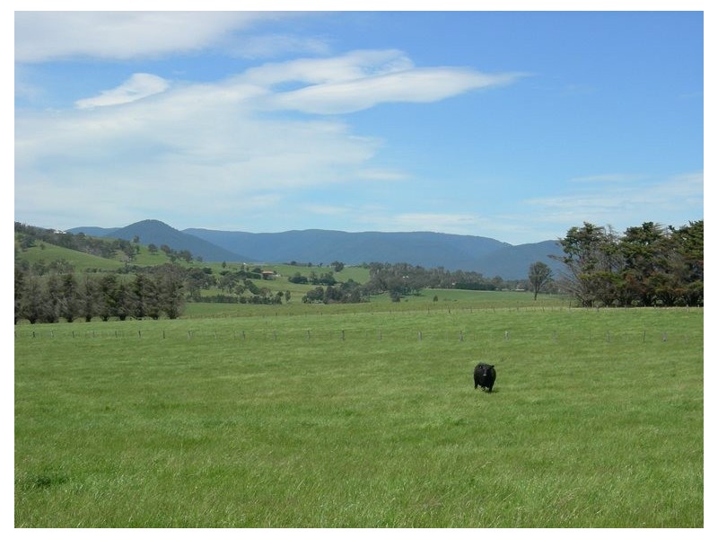 104-106 Bleases Lane, Yarra Glen VIC 3775