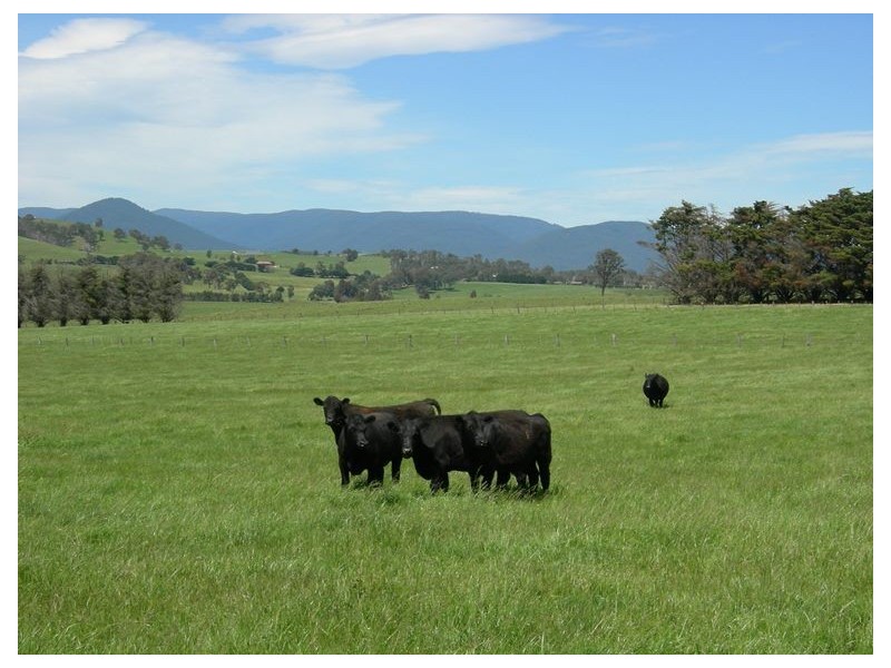 104-106 Bleases Lane, Yarra Glen VIC 3775