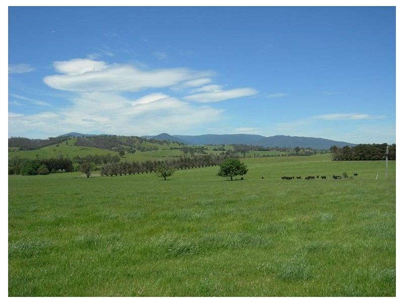 104-106 Bleases Lane, Yarra Glen VIC 3775