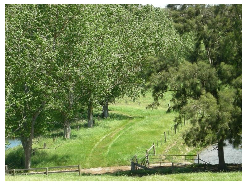 104-106 Bleases Lane, Yarra Glen VIC 3775