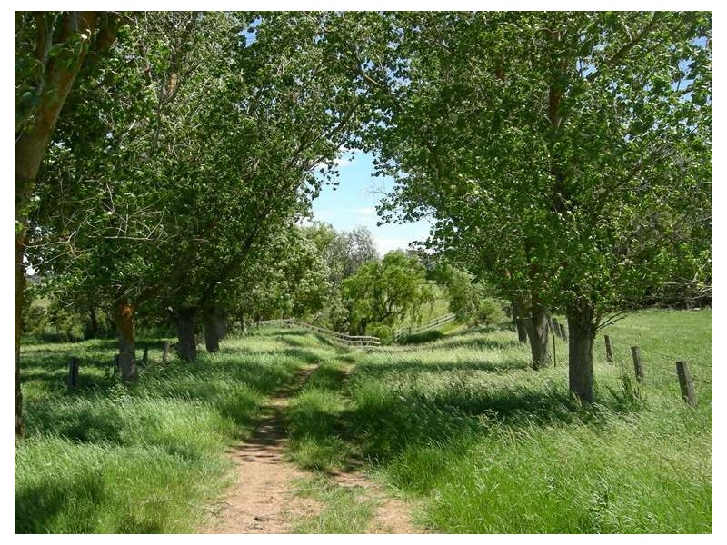 104-106 Bleases Lane, Yarra Glen VIC 3775