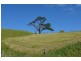 55 Michie Road, Kernot VIC 3979