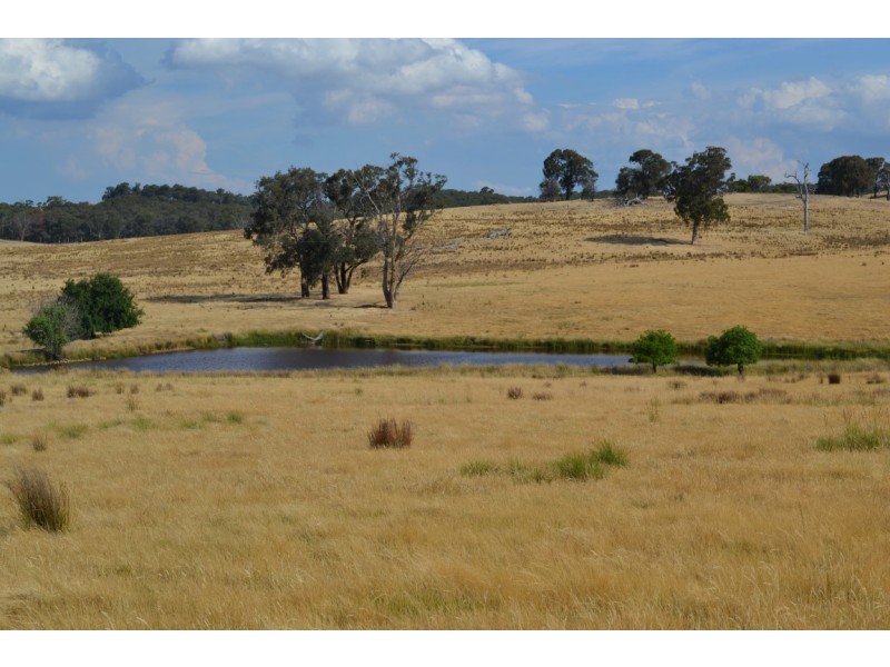 Lot 1, 1145 Seymour-Pyalong Road, Glenaroua VIC 3764