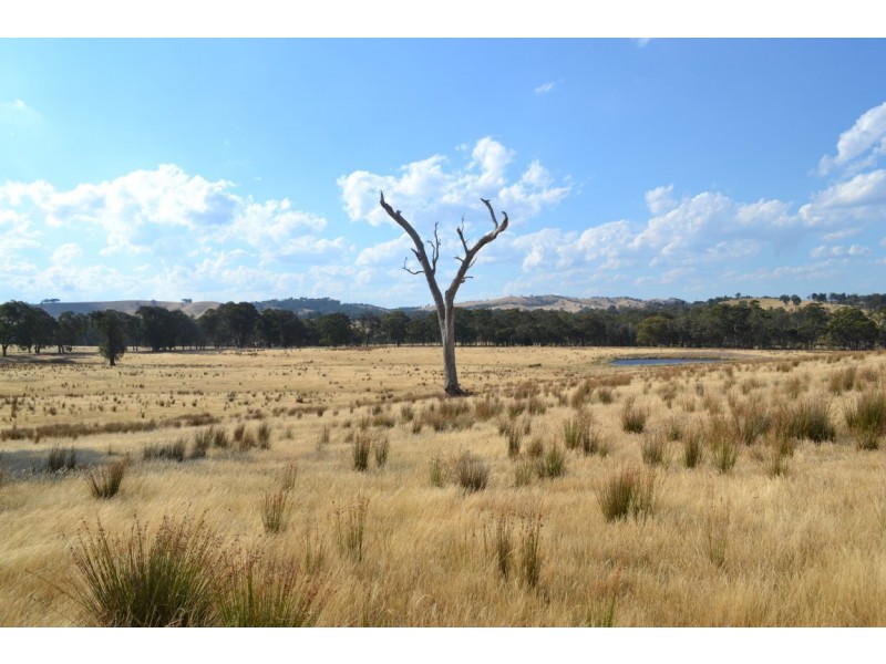 Lot 1, 1145 Seymour-Pyalong Road, Glenaroua VIC 3764