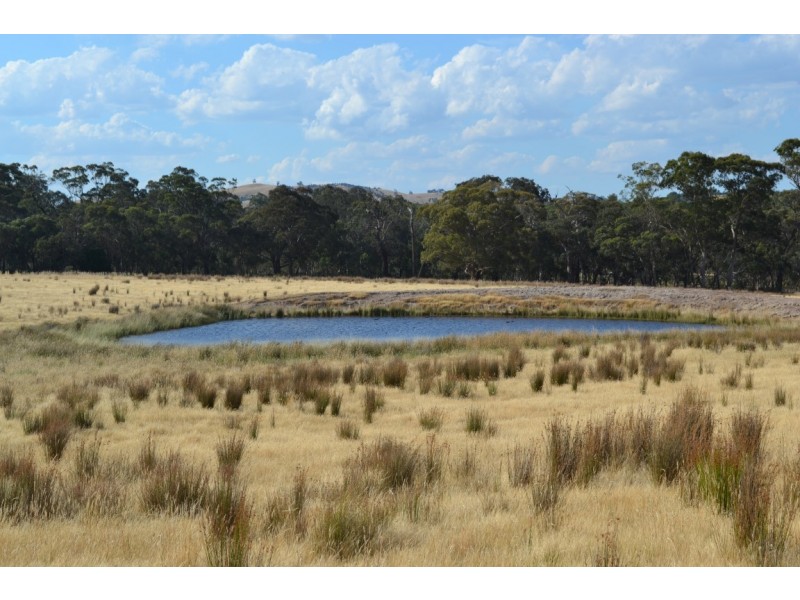 Lot 1, 1145 Seymour-Pyalong Road, Glenaroua VIC 3764