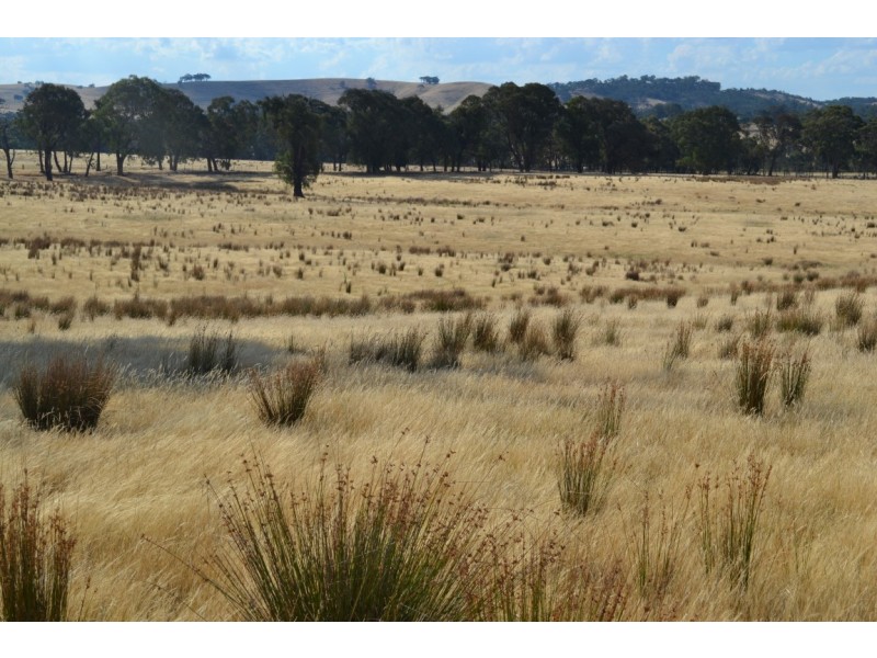 Lot 1, 1145 Seymour-Pyalong Road, Glenaroua VIC 3764