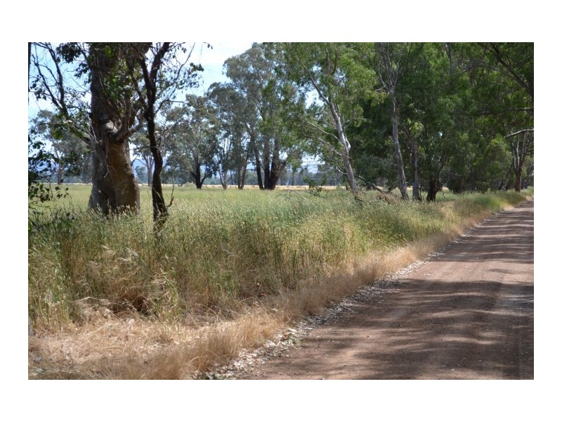 110 Alexander rd, Benalla VIC 3673