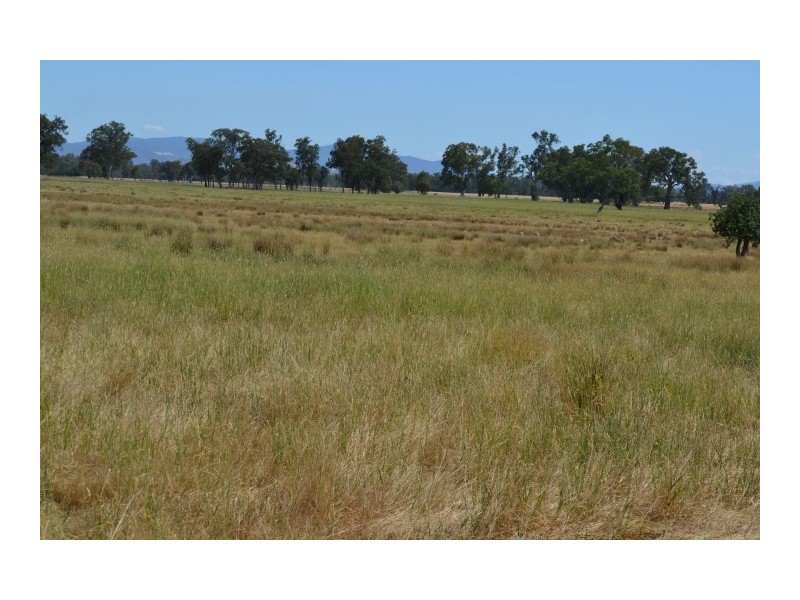 110 Alexander rd, Benalla VIC 3673