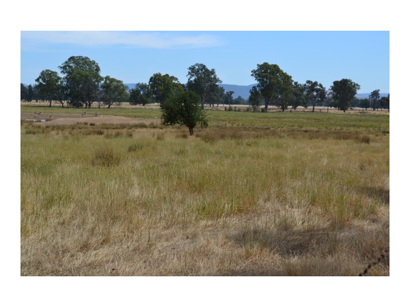 110 Alexander rd, Benalla VIC 3673