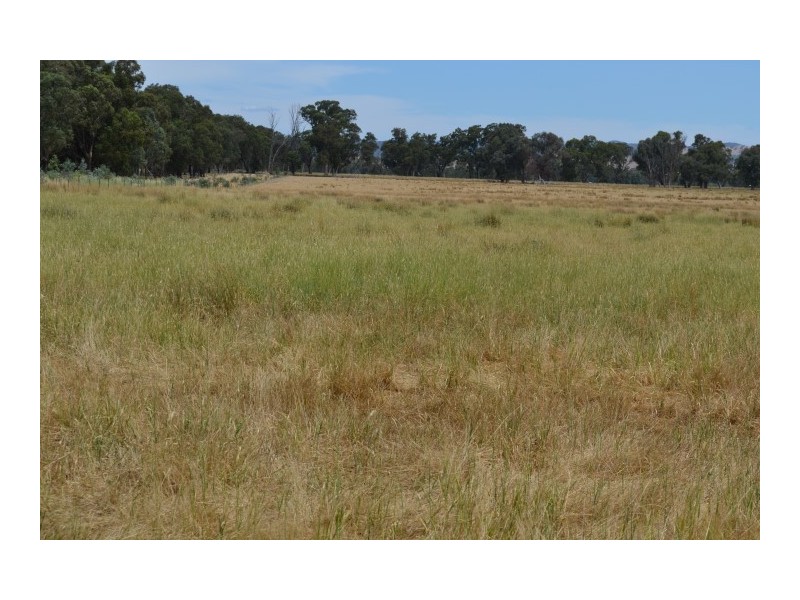 110 Alexander rd, Benalla VIC 3673