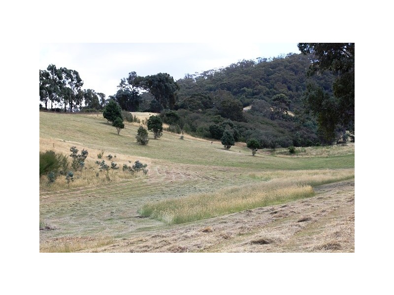 11 Shannon Court, Eildon VIC 3713