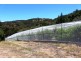 11 Shannon Court, Eildon VIC 3713