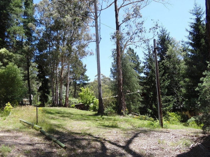 Sawmill Settlement VIC 3723