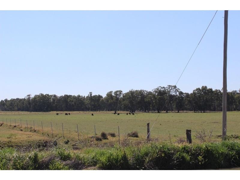 0 Tyntynder Central Rd, Tyntynder VIC 3586