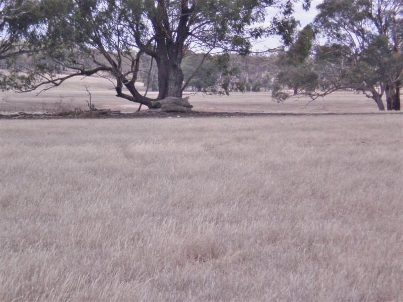 . St Arnaud-Dunolly Rd, Emu VIC 3475