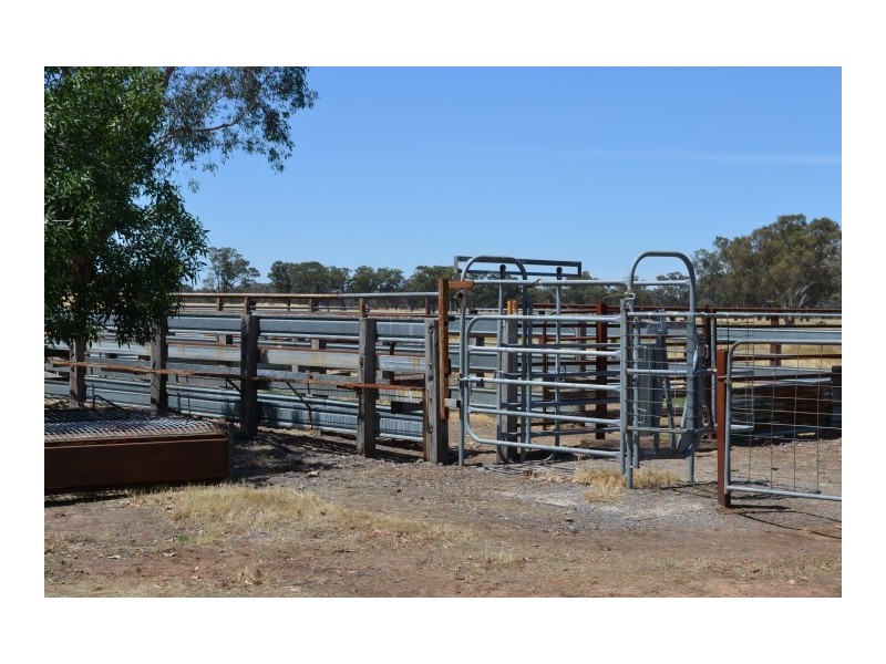 97 Cook Rd, Baddaginnie VIC 3670
