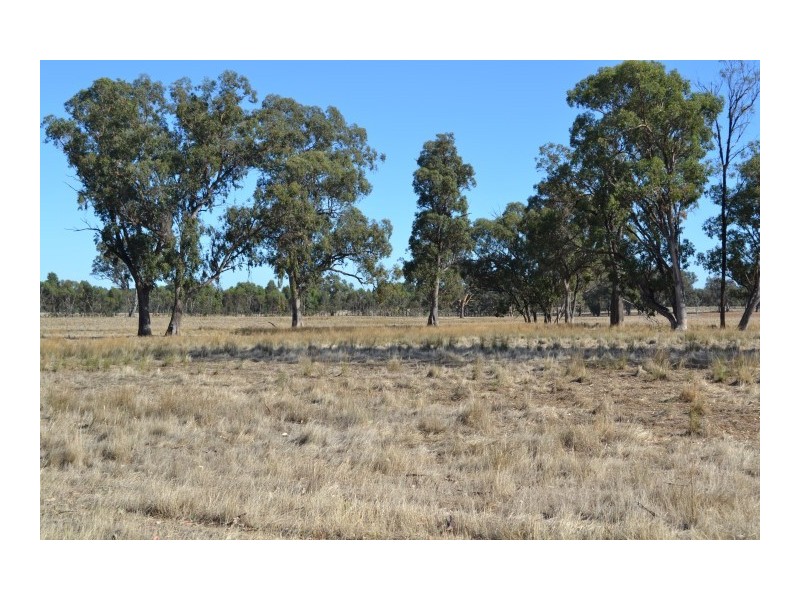 Baddaginnie VIC 3670