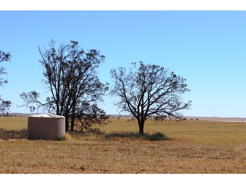 0 East of Wahpool Road, Chillingollah VIC 3585