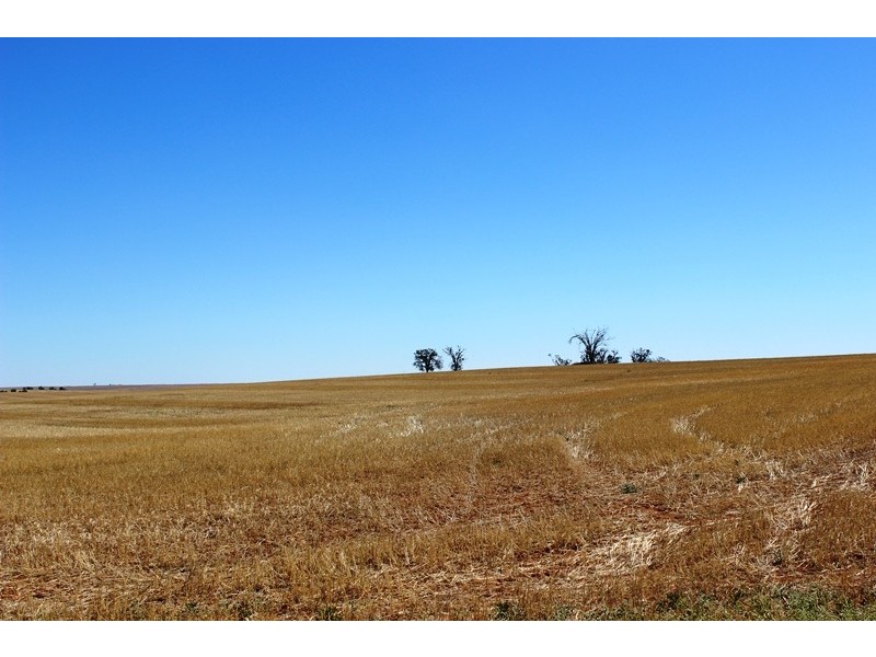 0 East of Wahpool Road, Chillingollah VIC 3585