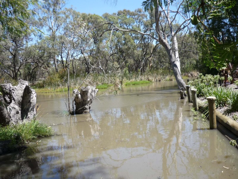 00 Vinnicome lane, Barham NSW 2732