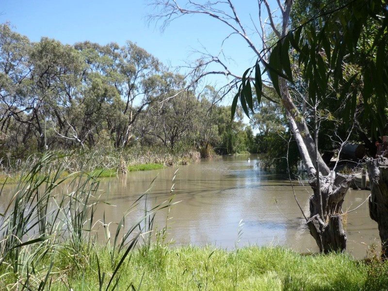 00 Vinnicome lane, Barham NSW 2732