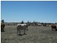 Deniliquin Farley Road, Deniliquin NSW 2710