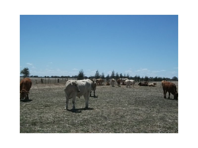 Deniliquin Farley Road, Deniliquin NSW 2710