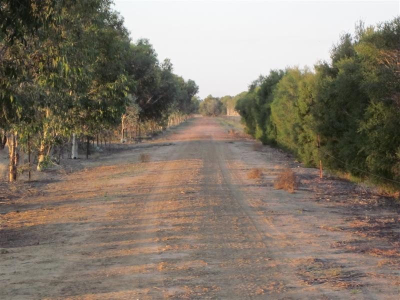 Deniliquin Farley Road, Deniliquin NSW 2710