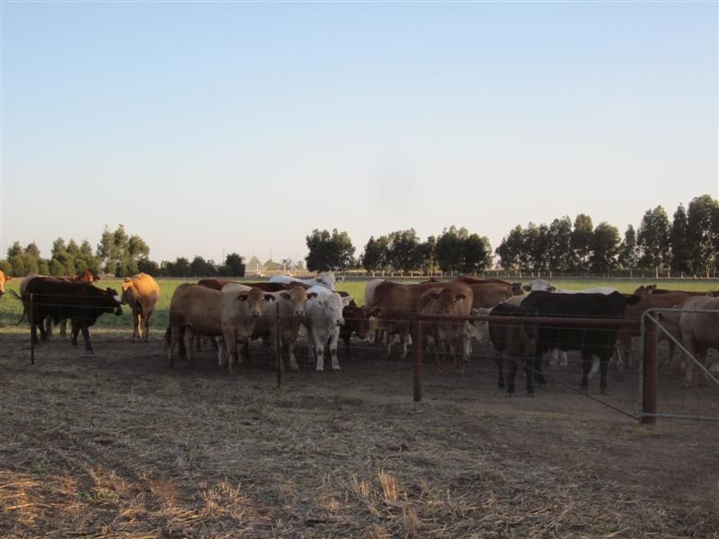 Deniliquin Farley Road, Deniliquin NSW 2710