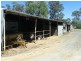 1920 Ryans, Shepparton VIC 3630