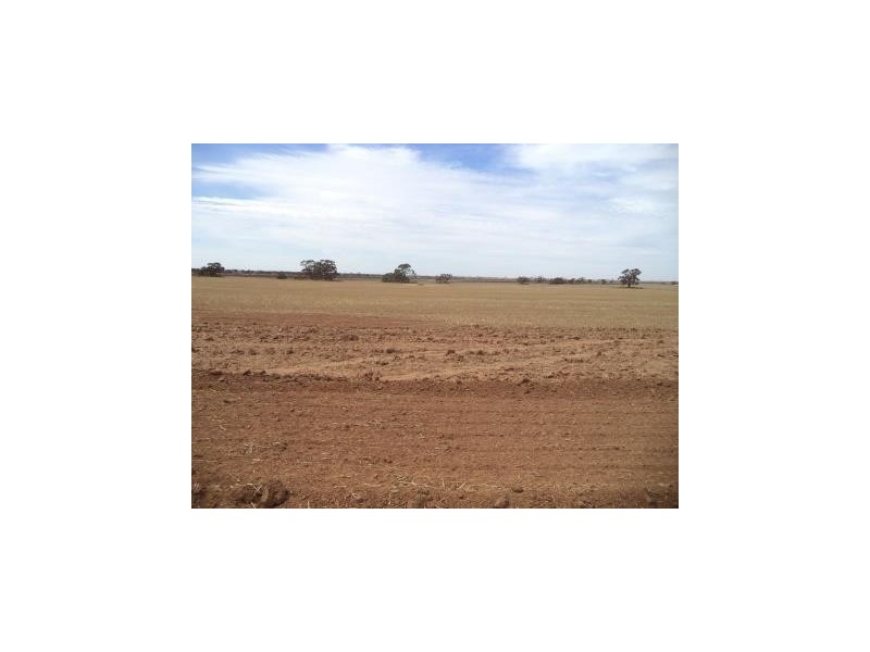 167 Wells Road, Lake Charm VIC 3581