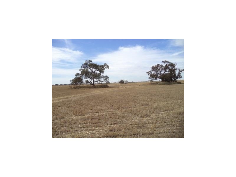 167 Wells Road, Lake Charm VIC 3581