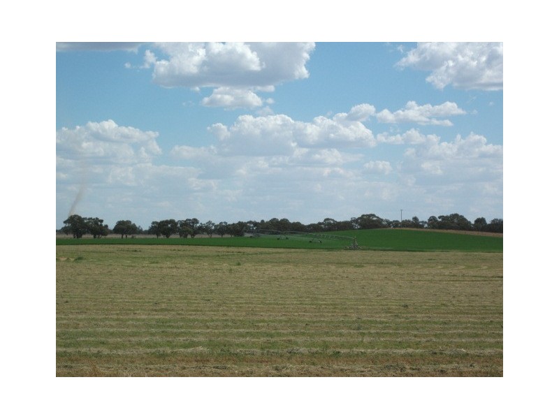 North of Barham, Barham NSW 2732