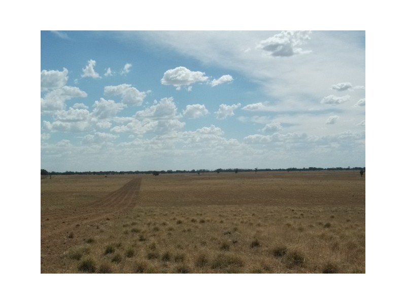 North of Barham, Barham NSW 2732