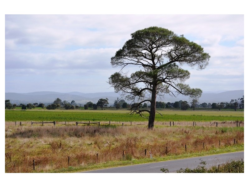 195 Bayles Cora Lynn Road, Cora Lynn VIC 3814