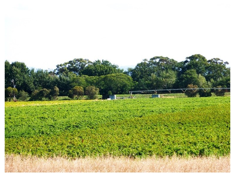 195 Bayles Cora Lynn Road, Cora Lynn VIC 3814