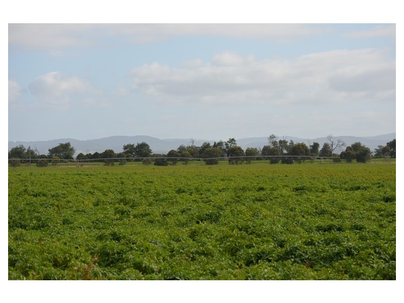 195 Bayles Cora Lynn Road, Cora Lynn VIC 3814