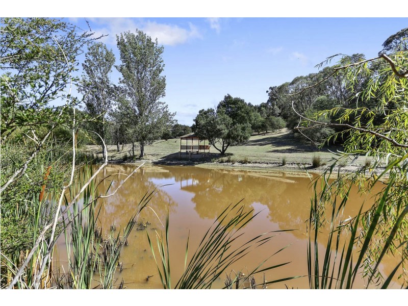 63 Alford Avenue, Eildon VIC 3713