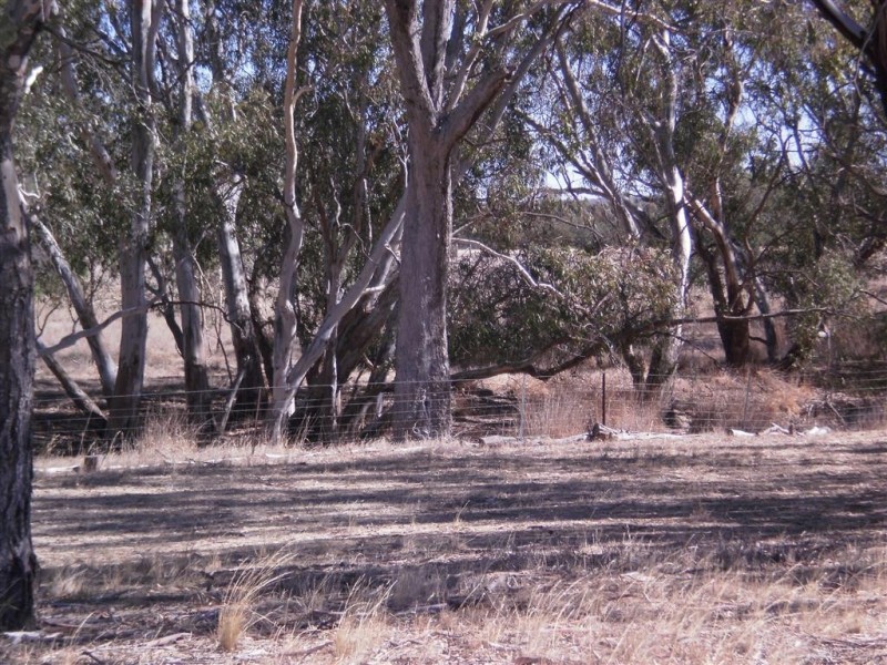 . Stuart Mill-Kooreh Rd, Carapooee VIC 3477